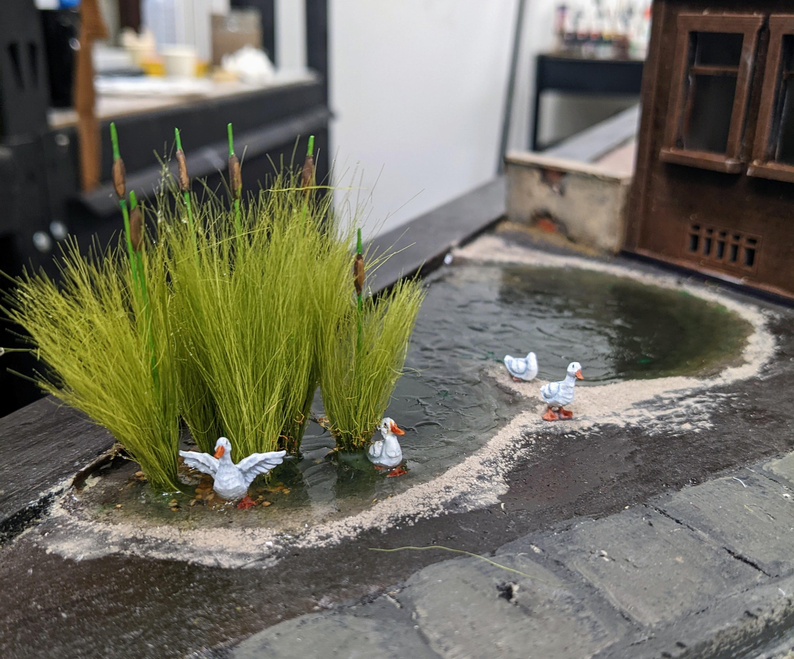 Pond