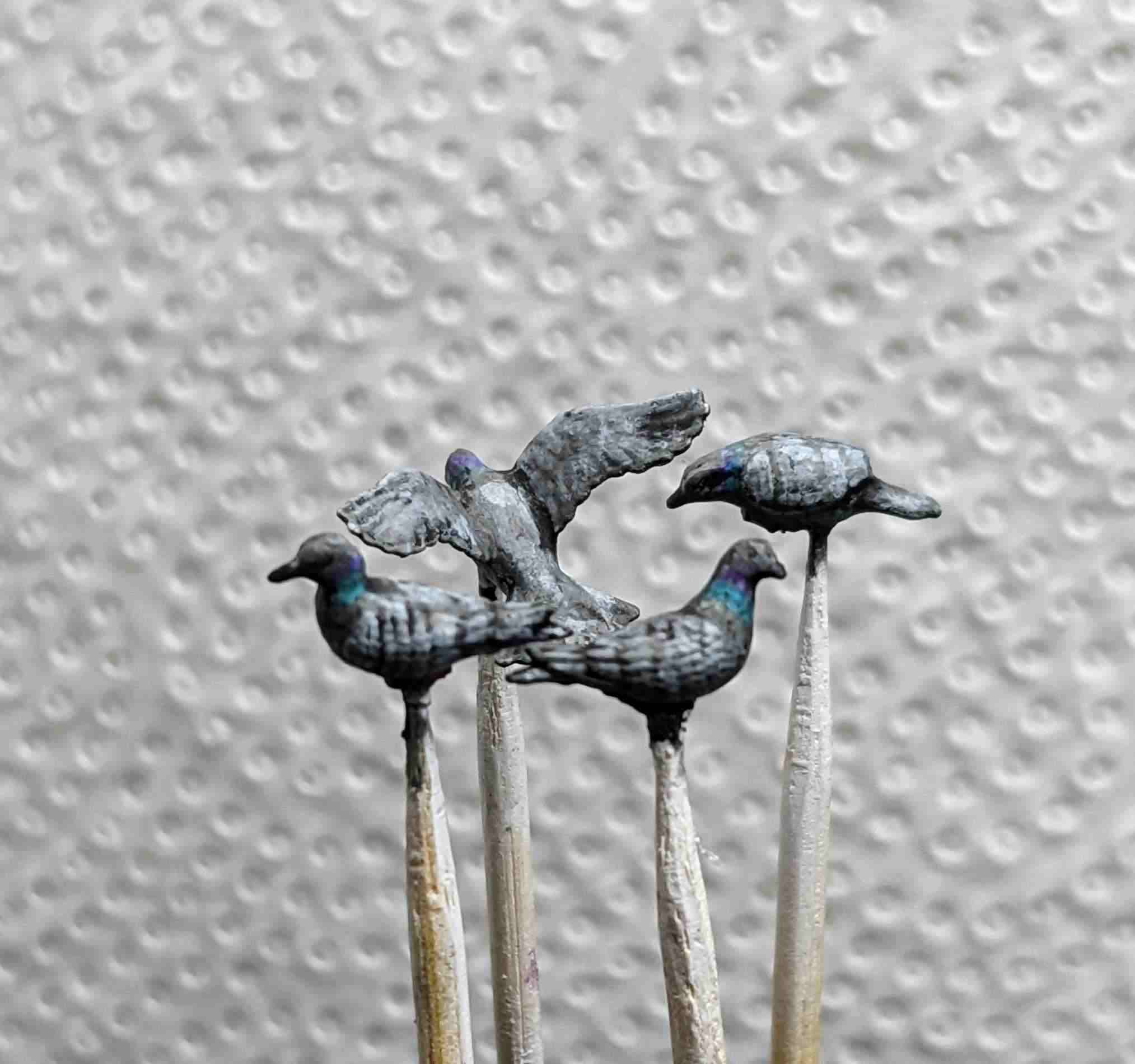 Pigeons