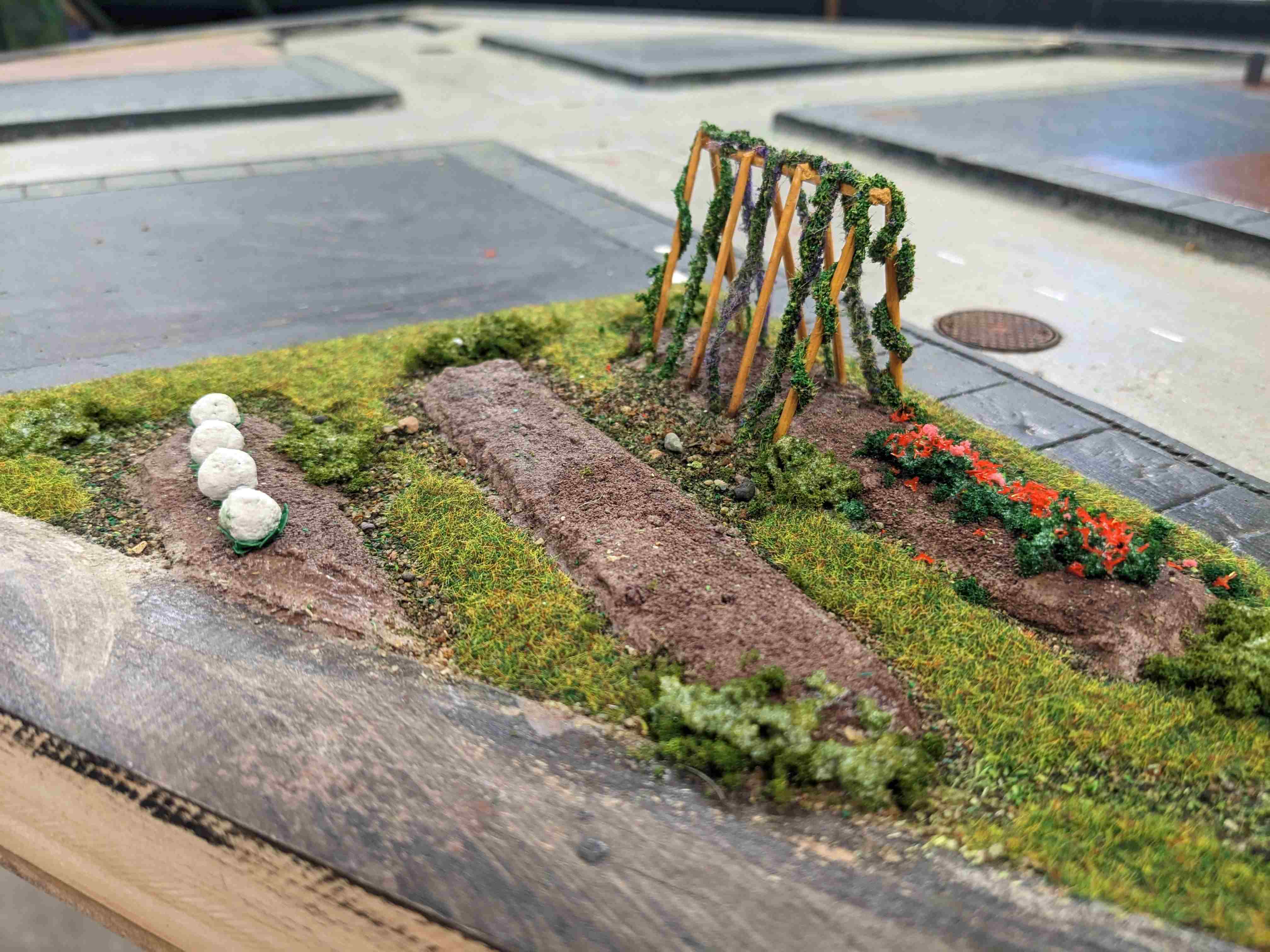 Allotment
